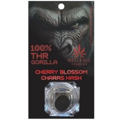 Gorilla Cherry Blossom...