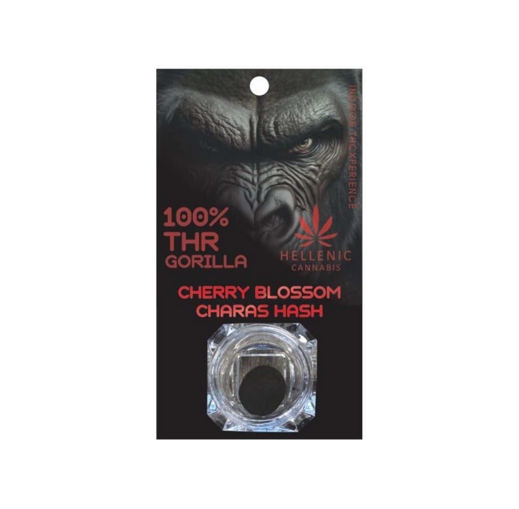 Gorilla Cherry Blossom Charas Hash THR 2gr