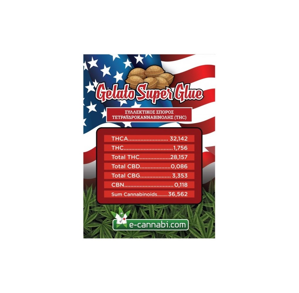 Σπόροι THC E-Cannabi Gelato Super Glue