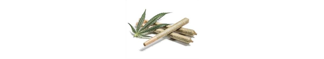 JustTheSmoky - Pre-Rolled Sticks